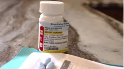 New Pancreatic Cancer Drug Doubles Survival Rate in Trials