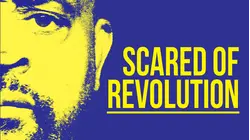 Scared of Revolution