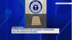 NYC woman allegedly busted with cocaine during traffic stop in Rye