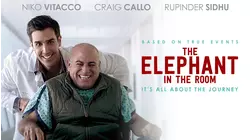 The Elephant In The Room