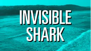 Invisible Shark