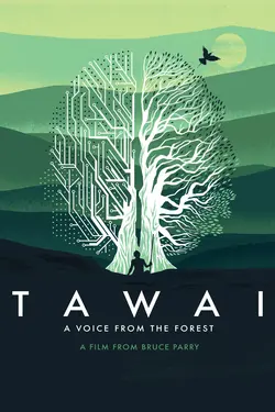 Tawai: A Voice From The Forest