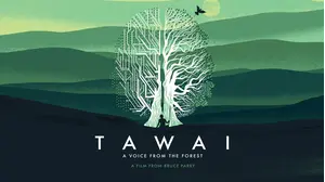 Tawai: A Voice From The Forest