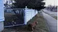 Life's Funniest Moments