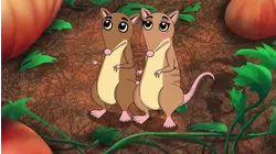 The Tuis: Bandicoots