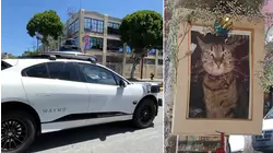 San Francisco supervisor calls for new robotaxi rules after neighborhood cat killed by Waymo