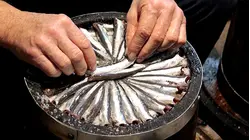 How 20,000 lbs Of Anchovies Spend 3 Years Transforming Into Expensive Anchovy Sauce