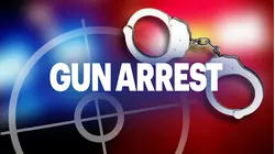 Traffic stop in Wildwood leads to major gun bust, police say