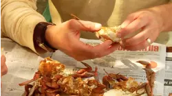 How To Do Crabbing And Bass Fishing