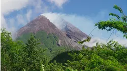 Fires of Don Goyo