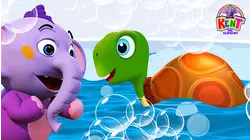 I Had A Little Turtle