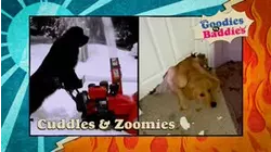 Goodies VS. Baddies | Cuddles & Zoomies