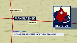 19-year-old man arrested for slashing on A train over seat dispute