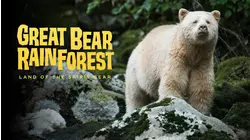 Great Bear Rainforest