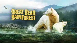 Great Bear Rainforest