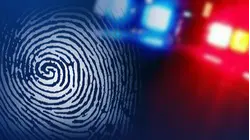 6 people charged after victim assaulted and robbed at Shelton convenience store