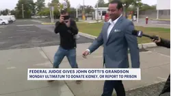 Gotti grandson has until Monday to donate kidney to mother or report to prison