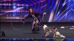 Judges Fall In Love With Magic Dog Act on America's Got Talent | Got Talent Global