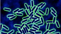 Hacking our Microbiome