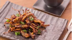 Best Cuisine Coast to Coast