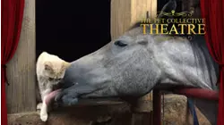 TPC Theatre | Animals Outside