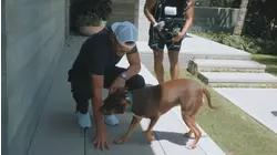 Tom Brady Clones His Late Dog: Is It the Wave of the Future?