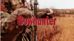 Quest for a Brown Bear