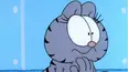 Garfield and Friends