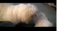 Life's Funniest Moments