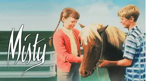 Misty