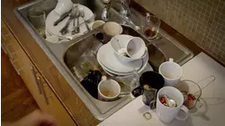 The Dishwasher