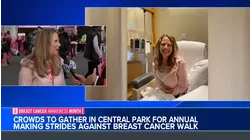 Crowds gather in Central Park for annual Making Strides Against Breast Cancer Walk