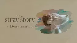 The Stray Story: A Dogumentary