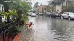 Water floods neighborhood streets in Long Beach