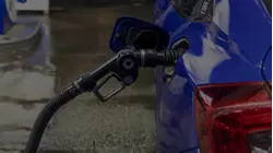 Stocks plunge, oil prices up 20% since start of Iran war