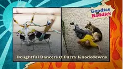 Goodies VS. Baddies | Delightful Dancers & Furry Knockdowns