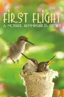 First Flight: A Mother Hummingbird's Story