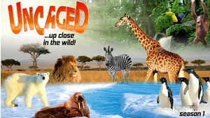 Uncaged...up close in the wild