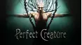 Perfect Creature