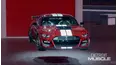 Detroit Muscle