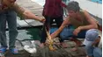 Anthony Bourdain A Cook's Tour