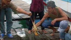 Eating on the Mekong