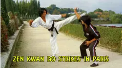Zen Kwan Do Strikes in Paris