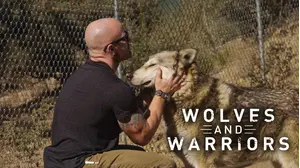 Wolves And Warriors