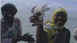 Zanzibar