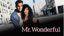 Mr. Wonderful