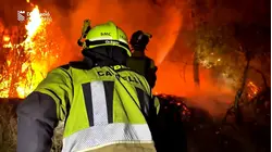 Thousands forced to flee as wildfires scorch Southern Europe