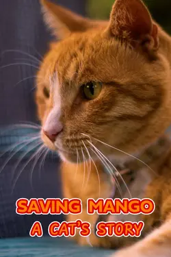 Saving Mango - A Cat's Story