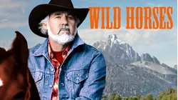 Wild Horses