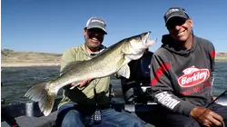 Jigging for Migrating Reservoir Walleye